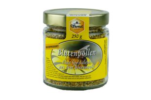 Blütenpollen 